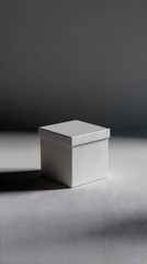 Canvas Print - minimalist product gift box on neutral background