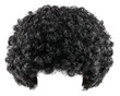© Alice a. - Curly wig afro hairstyle black synthetic hair costume accessory isolated on transparency background retro style party prop fun fluffy voluminous