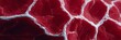 © fotogurme - Crimson marble texture echoes lunar landscapes, whispering tales of Martian geology and abstract art celebrations on World Creativity Day