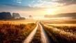 © CreativeCreations - Scenic country road winding through a golden wheat field at misty sunrise with warm, beautiful morning light and fog. Picturesque rural landscape background with a path leading to the horizon.