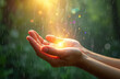 © Pete - Woman hands cupped open catching light and rain. Gentle water droplets fall, creating a serene and refreshing atmosphere. The scene evokes feelings of purity, wellness, and spiritual connection.