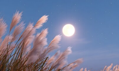 Wall Mural - a full moon glowing brightly in the night sky, gently illuminating tall pampas grass (susuki) swayin