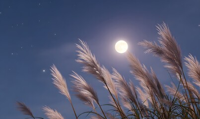 Wall Mural - a full moon glowing brightly in the night sky, gently illuminating tall pampas grass (susuki) swayin