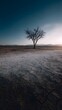 © Thares2020 - A lone leafless tree stands in a barren dry landscape