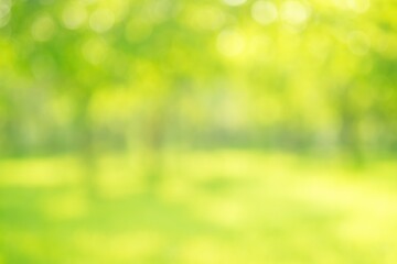 Wall Mural - soft focus scenic backdrop featuring foliage and sunlight, ideal for background with perspective