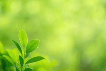 Wall Mural - detailed close-up of a vibrant green leaf against a softly blurred leafy backdrop with empty space f