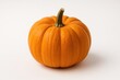 © The 2R Artificiality - Vibrant orange pumpkin displayed on a clean white backdrop