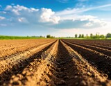 Plowed field under a blue sky