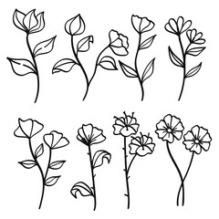 Poster - Botanical Line Art Flowers Blossom Vintage Collection