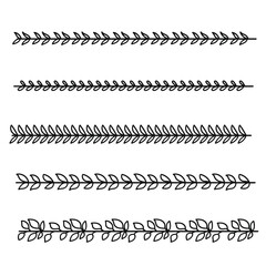 Wall Mural - Vines divider for text layout separator decoration element collection.