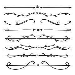 Poster - nature floral vine line divider hand drawn for text layout separator decoration element collection.