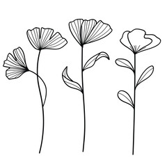 Poster - Eucalyptus leaves floral botanical collection.Vector illustration