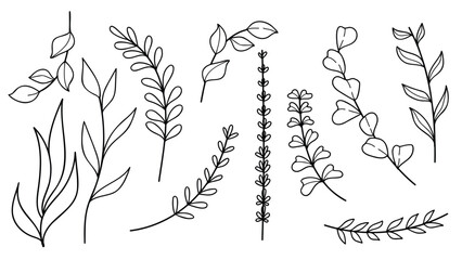 Poster - hand drawn line art botanical leaves and flowers elements collection. vector illustration.
