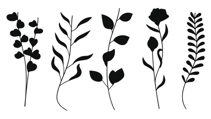 Poster - Botanical silhouette elements collection including different types of leaves and branches.