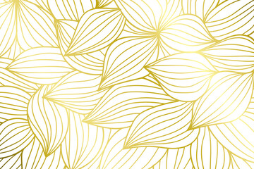 Wall Mural - Abstract golden botanical flowers line drawing isolated on white background