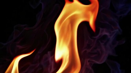 Wall Mural - Fire flames on black background. Closeup of burning hot bonfire fire sparks. Fire Particles over black background with smoke
