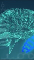Wall Mural - animation of dna strand and brain over data processing and chemical formula on black background
