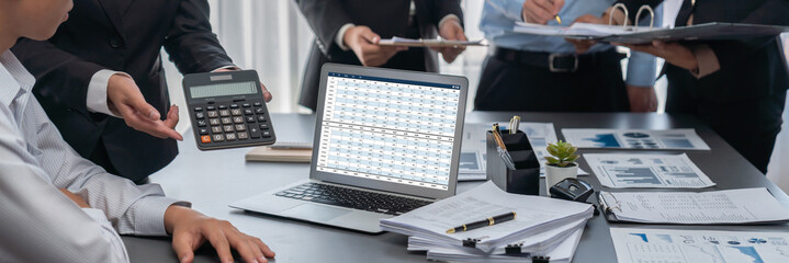 Wall Mural - accounting software on computer screen showing financial statement spreadsheets and account balance 