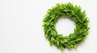 © Deamard - Lush green wreath symbolizing spring season on white background. Copy space