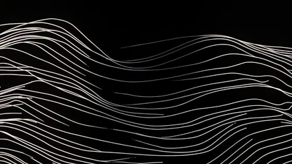 Wall Mural - abstract white lines on transparent background forming wavy patterns