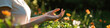 © Lila Patel - Woman's Hands in Peaceful Gesture Amongst Flowers