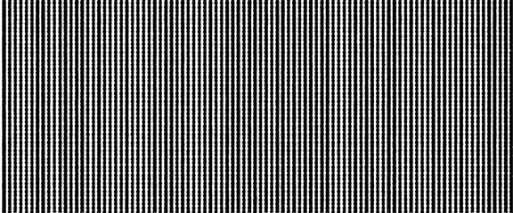 Wall Mural - vector hand drawn black and white line pattern