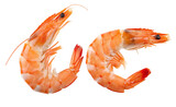 Fresh shrimp seafood isolated on white background for cooking or culinary presentation concepts