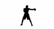© Haider - Boxer Fight Stance Silhouette Vector – Combat Sports Pose
