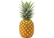 © Mia - Ripe Pineapple Fruit A Vibrant Golden Specimen isolated on transparent background