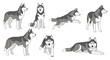 © Power Clipart - Collection of cute husky dogs in various poses and activities