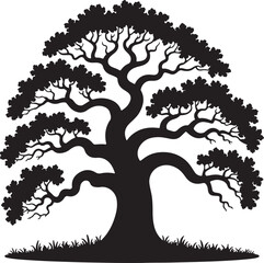  Black Silhouette of a Large Deciduous Tree with Thick Trunk and Spreading Branches Set Against a White Background with Silhouetted Grass at the Base