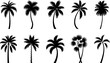 © mhtproduction - Palm Tree Silhouette Vector Set – Tropical Summer Island Icons