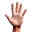 © Anamul - A human hand with the palm facing upwards, presented against a white background