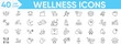 © Arslan - Wellness icon set.wellness, exercise, mental health, spa, wellbeing, stress management, healthcare, cosmetics, relaxation,, diet, meditation and more.Vector and illustrator set.