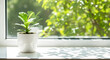 © ROKA Creative - Green ficus houseplant sits on a windowsill enjoying the sunlight with tree branches blurred outside in a serene indoor scene.