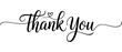 © Vectory Icons - Elegant handwritten thank you script with heart decorative element on white background