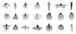 © eva - root plants botanical symbols root systems from creep trees recent vector flat collections isolated