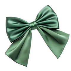 Wall Mural - Green satin bow isolated on transparent background