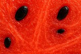 スイカ果肉と種の超マクロ｜Extreme Macro of Watermelon Flesh and Seeds