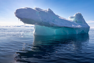 Wall Mural - blue iceberg, formed when a glacier calves, reflected in the arctic waters of svalbard, a norwegian 