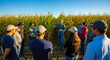 © creative - Agriculture Students in Cornfield: Learning and Growth in Farming