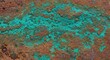 © SHAKIL - Closeup view of a rusty metal surface with a tealgreen corrosion pattern