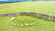 © Duncan - Iron Hill North Stone Circle, near Shap, Penrith, Cumbria, UK