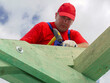 © Roman Milert - Carpenter driving a nail into house rafter beam