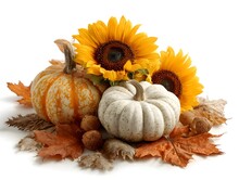 Sunflowers Pumpkins Autumn Free Stock Photo - Public Domain Pictures