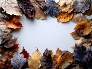 Wall Mural - Assorted autumn leaves are arranged in a border around a blank white space ideal for text overlaying.