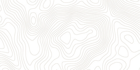 Topography background. Vector banner. Topography map background. Vector geographic contour map. Background of the topographic map. Topographic map lines, contour background.