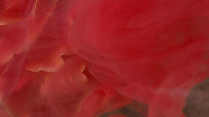 Vertical video. Floral ink. Blossom paint. Defocused red color rose water texture liquid splash flower nature plant petals on abstract art bright background.
