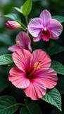 Intricate hibiscus & orchid blooms, lush green leaves, floral pattern, green