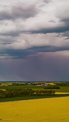 Wall Mural - drone hyperlapse of dark storm clouds and rain above yellow rapeseed fields, vertical